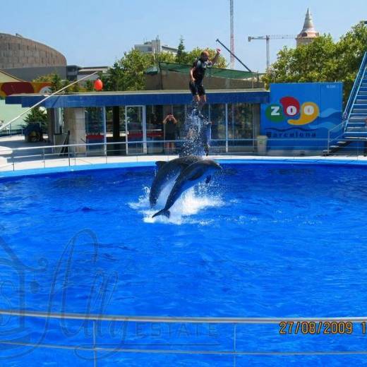Дельфинарий зоопарка Барселоны.