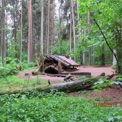 Сказочный лес (Лес сказок) Природного парка Тервете.
