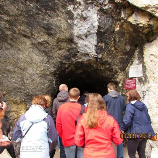 Мамонтовая пещера (Mammuthöhle).