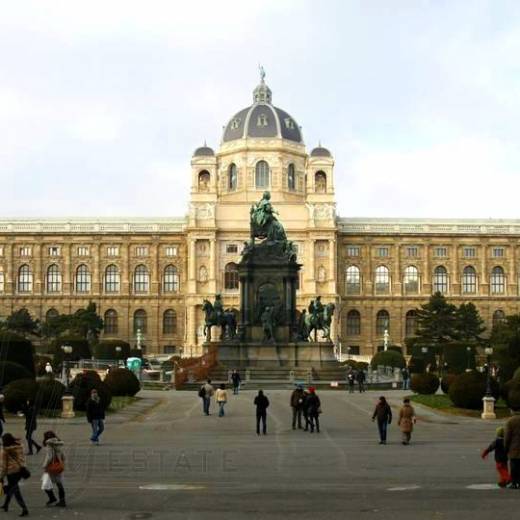 2008.12.30-1 Вена (Австрия) Опернринг и площадь Марии Терезии