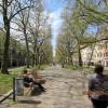 germany-230505-115-dresden-hauptstrasse