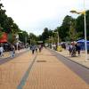 palanga-012