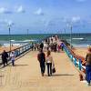 palanga-011