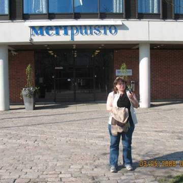 Отель Мерипуисто