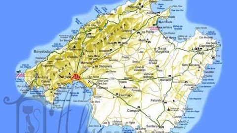 Пальма-де-Майорка - столица Балеарских островов.