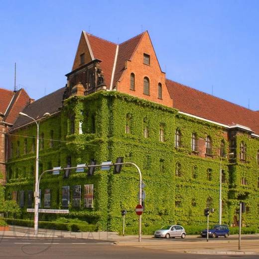 Музей Muzeum Narodowe we Wrocławiu.