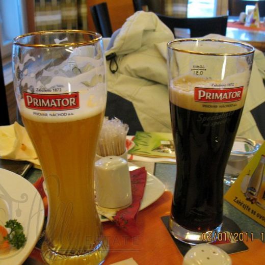 Первое знакомство с пивом «Приматор».