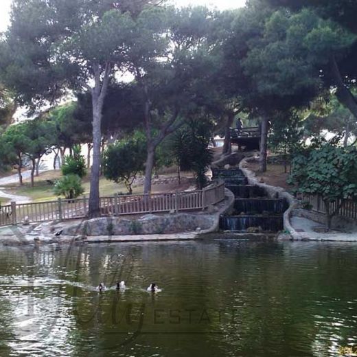 Гуардамар-дель-Сегура  – природные и городские парки
