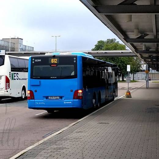 Общественный транспорт - автобус №612