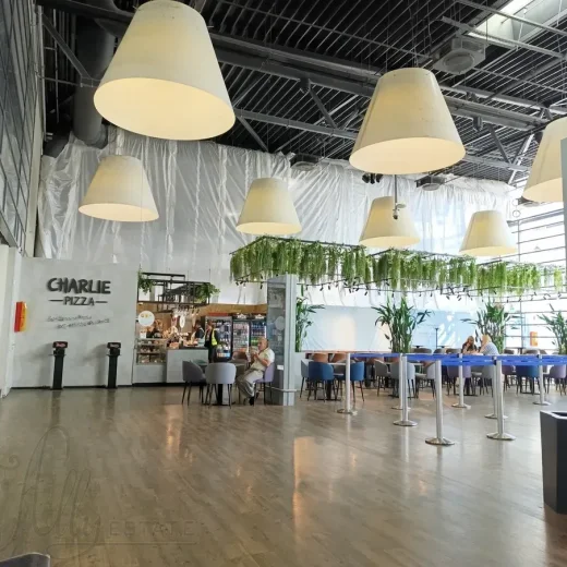 Вылет из аэропорта Каунаса.