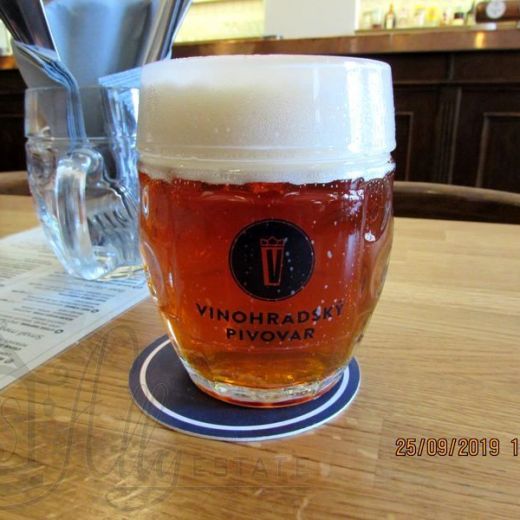 Пиво от «Виноградcкого пивовара (Vinohradský pivovar)»
