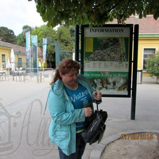 Как добраться до Зоопарка в Вене