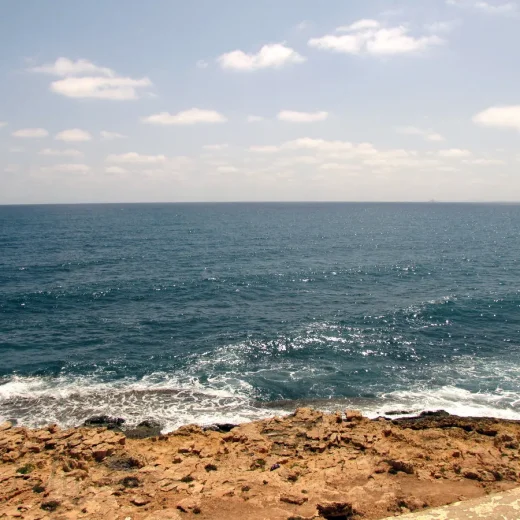 Развлечения в Кабо Рои