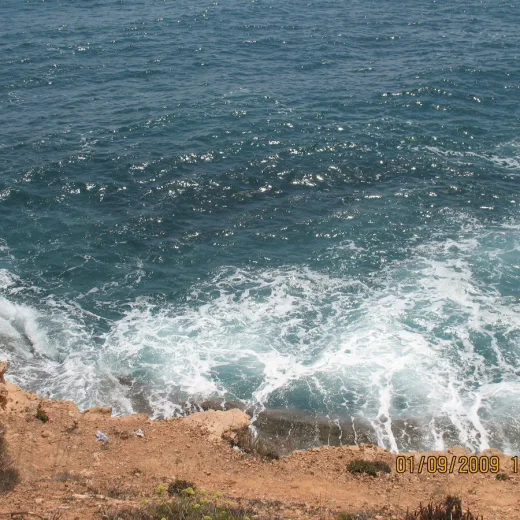 Развлечения в Кабо Рои