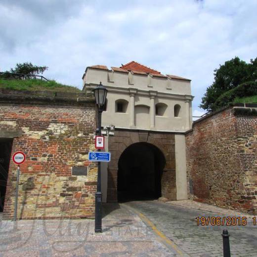 Таборские ворота Вышеграда и руины старых готических ворот