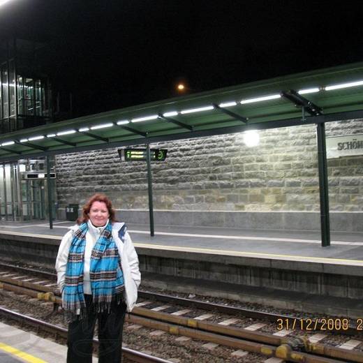 Вена (Австрия) – 2008.12.31 – Дворец и Парк Шенбрунн
