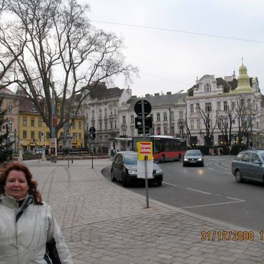 Вена (Австрия) – 2008.12.31 – Дворец и Парк Шенбрунн
